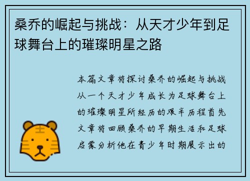 桑乔的崛起与挑战：从天才少年到足球舞台上的璀璨明星之路