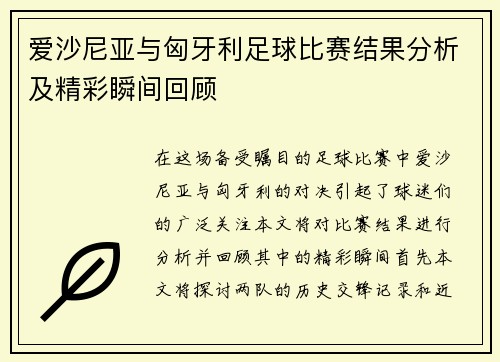 爱沙尼亚与匈牙利足球比赛结果分析及精彩瞬间回顾