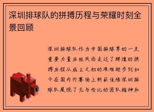 深圳排球队的拼搏历程与荣耀时刻全景回顾