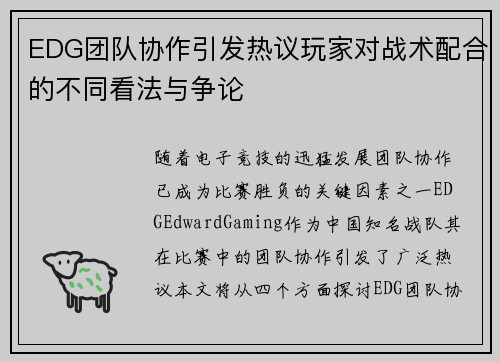 EDG团队协作引发热议玩家对战术配合的不同看法与争论