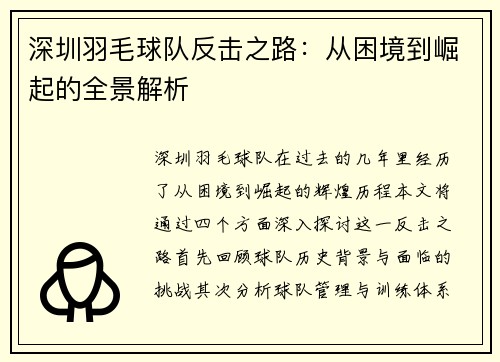 深圳羽毛球队反击之路：从困境到崛起的全景解析