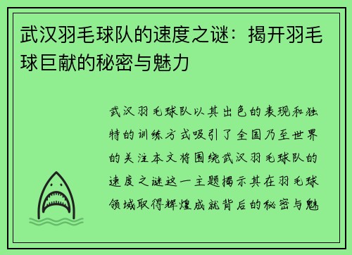 武汉羽毛球队的速度之谜：揭开羽毛球巨献的秘密与魅力